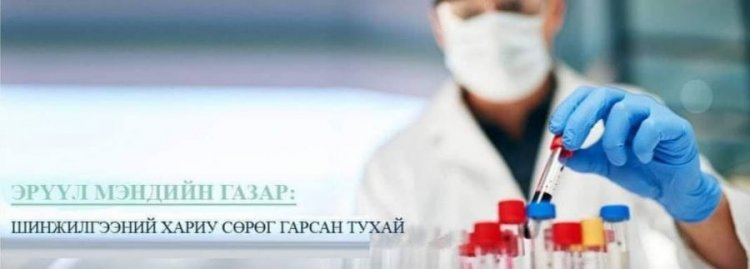 Тусгаарлагдсан сурагчдын шинжилгээний хариу сөрөг гарлаа