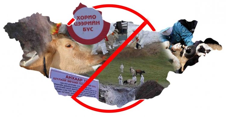 ХЭНТИЙ: Мялзан өвчний улмаас хорио цээрийн дэглэм тогтоолоо